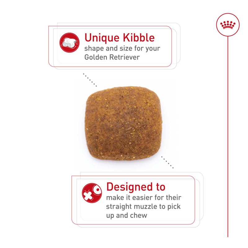 Royal Canin Breed Health Nutrition Golden Retriever Adult Dry Dog Food, 17 lb Bag - Image 2